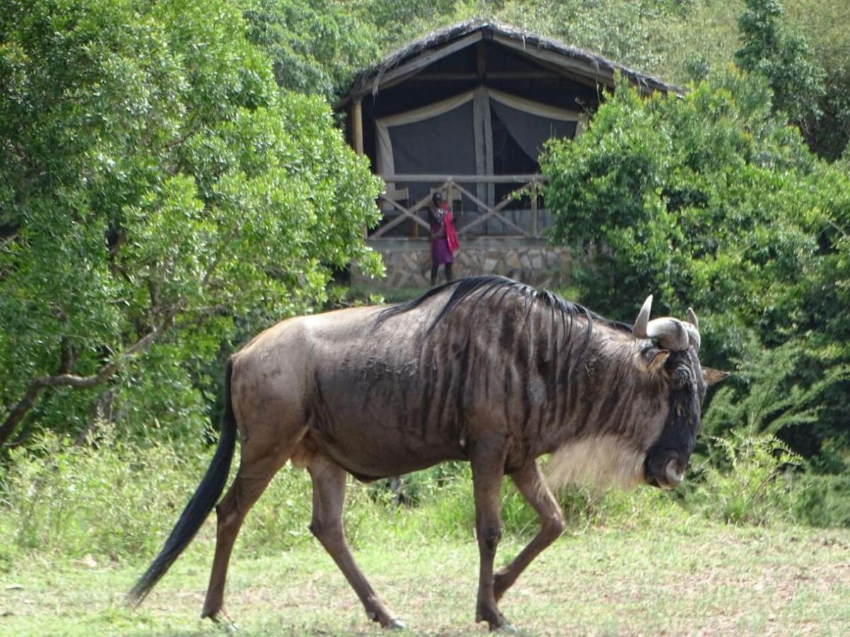 Hotel Fig Tree Camp - Maasai Mara Talek Zewnętrze zdjęcie