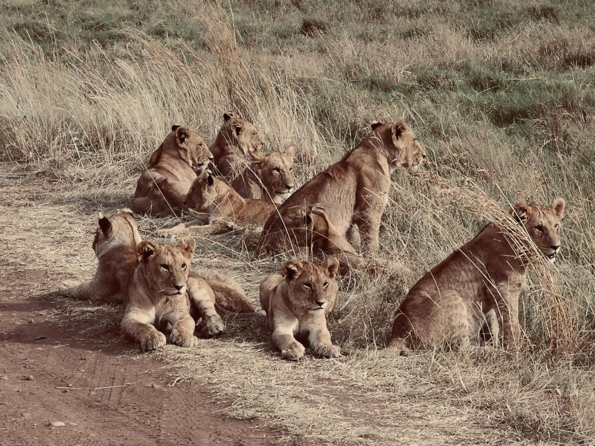 Hotel Fig Tree Camp - Maasai Mara Talek Zewnętrze zdjęcie