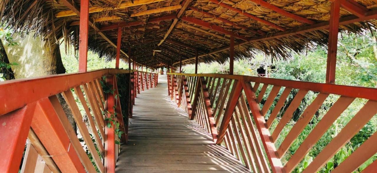 Hotel Fig Tree Camp - Maasai Mara Talek Zewnętrze zdjęcie